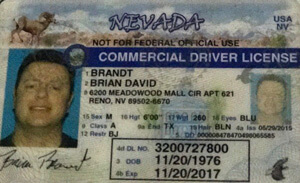 NV commercial driver's license